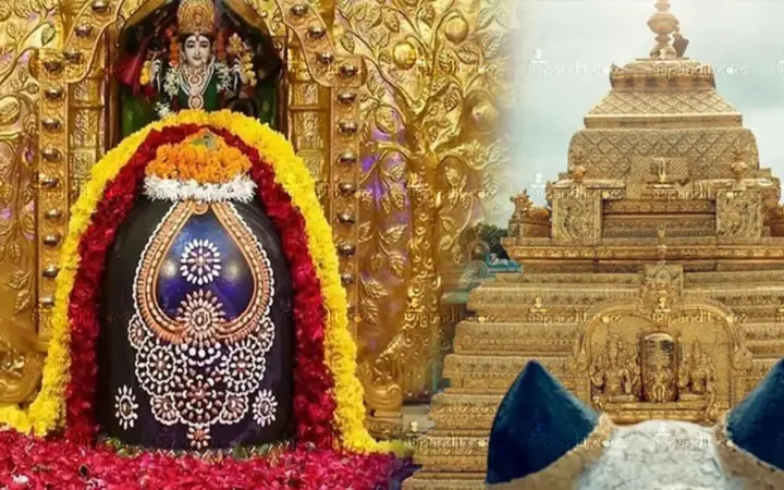 Mallikarjuna Jyotirlinga one-day tour from Hyderabad