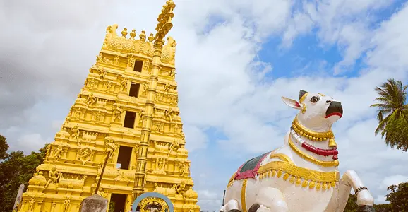 Mallikarjuna Temple and Srisailam tour package
